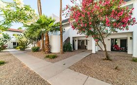 33 Avenida Pool View Studio New To Market Avenida King Bed Ds