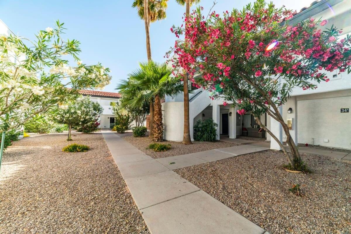 33 Avenida Pool View Studio New To Market Avenida King Bed Ds Casa Grande Exterior foto